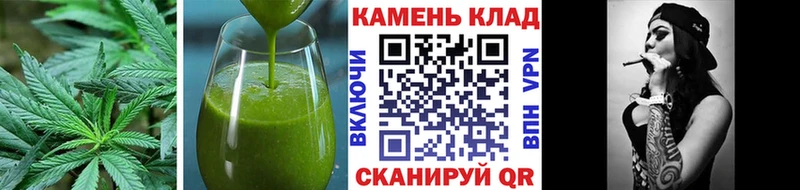 KRAKEN зеркало  Светлогорск  Cannafood марихуана 