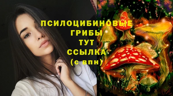 a pvp Белокуриха