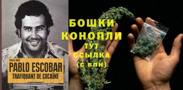 экстази Богородицк