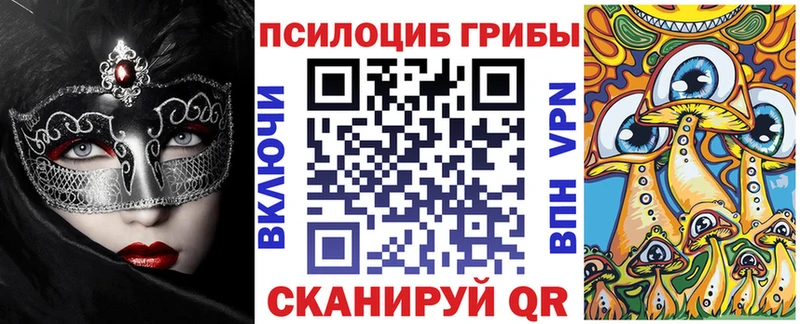 Галлюциногенные грибы мицелий где продают наркотики гидра Светлогорск